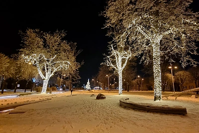 Šakių kalėdinės eglės įžiebimas / Šakių rajono savivaldybės nuotr.