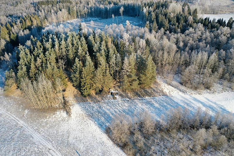 Turmanto apylinkės (Zarasų turizmo ir informacijos centro nuotr.) / Laura Šimkutė nuotr.