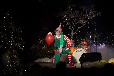 Donatos Virbilaitės gimtadienio koncertas / Loretos Kondratės nuotr.