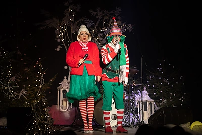 Donatos Virbilaitės gimtadienio koncertas / Loretos Kondratės nuotr.