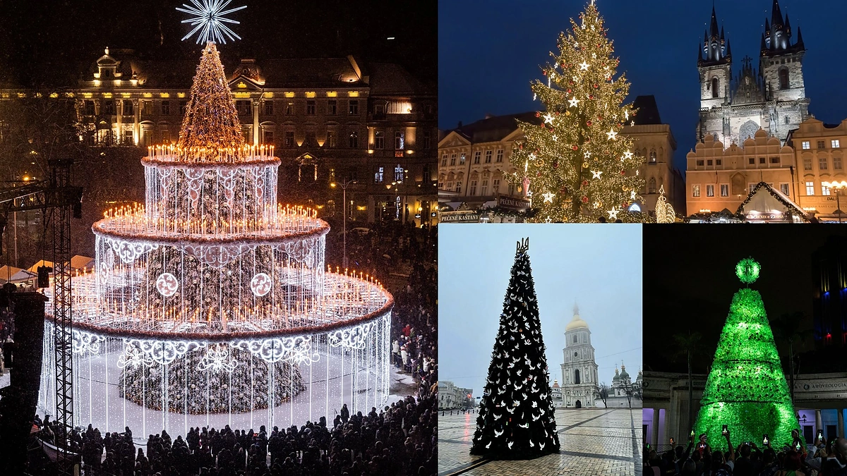 BBC atrinktos Kalėdų eglės / „Scanpix“ ir P.Peleckio nuotr.