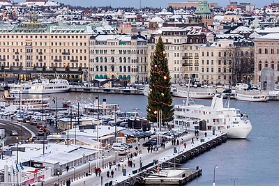 Stokholmo Kalėdų eglė / AFP/„Scanpix“ nuotr.