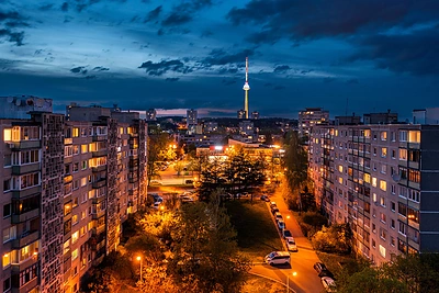 Lazdynai / Irmanto Gelūno / BNS nuotr.