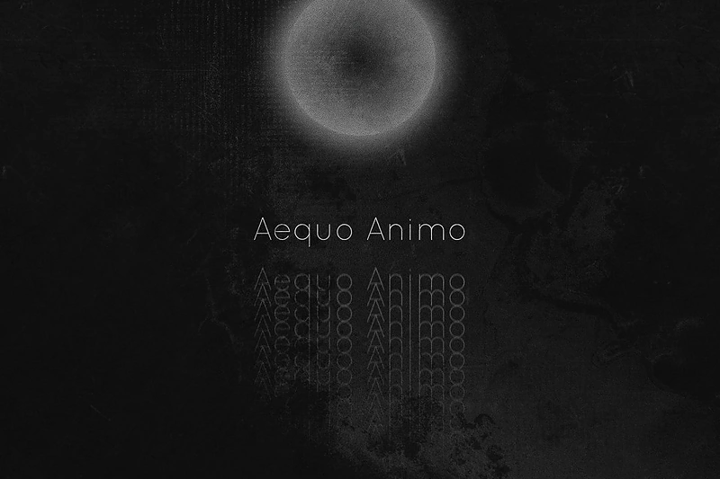 Dueto „Abii“ albumo „Aequo Animo“ viršelis / Tautvydo Tomkaus sukurtas viršelis