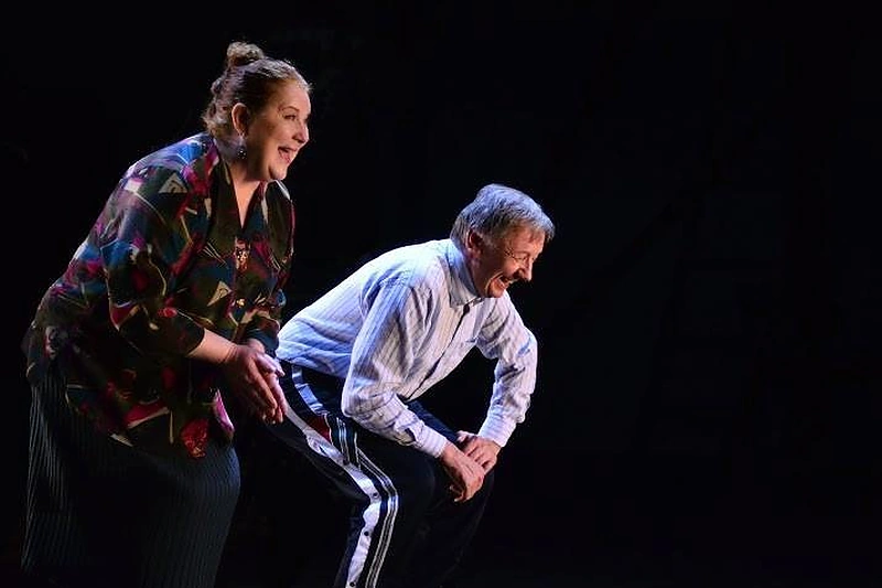 Šokio teatro spektaklis „Kelionė namo“ / Auros Skulskytės nuotr.