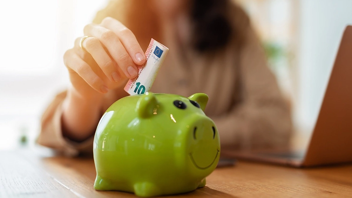 Kiaulė taupyklė / Shutterstock nuotr.
