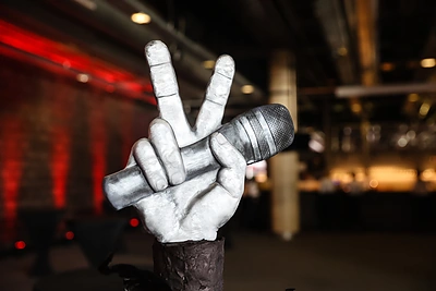 „Lietuvos Balso” finalo raudonas kilimas / Teodoro Biliūno / BNS nuotr.