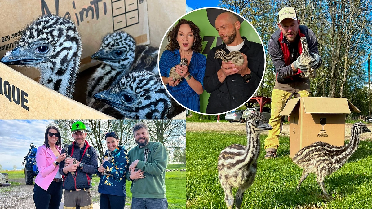 ZIP FM stručiai / Dangės Rulevičiūtės nuotr.