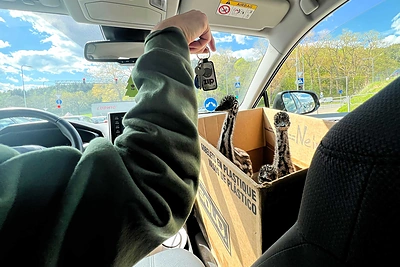 ZIP FM stručiai išvyksta į Rokiškį / Dangės Rulevičiūtės nuotr.