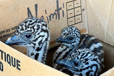 ZIP FM stručiai išvyksta į Rokiškį / Dangės Rulevičiūtės nuotr.