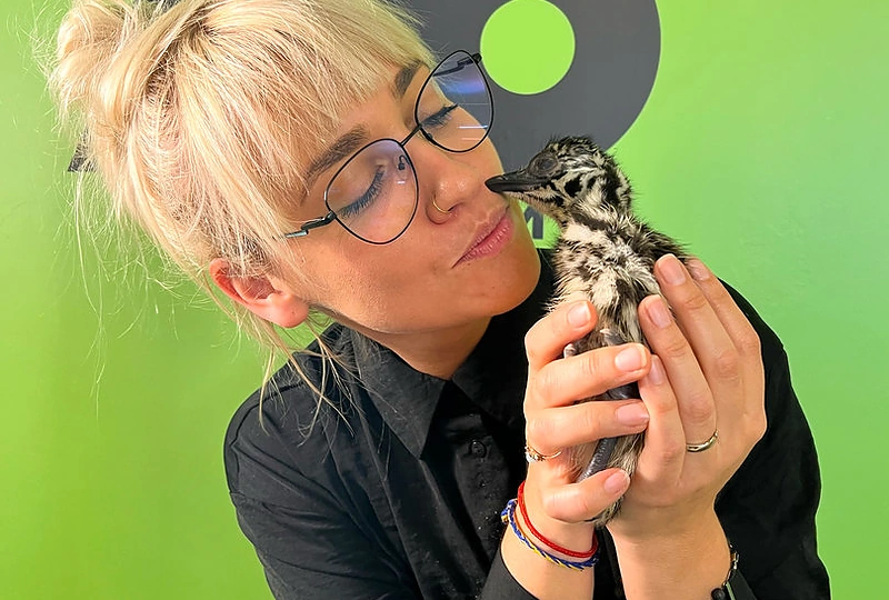 ZIP FM stručiai su vedėjais / Dangės Rulevičiūtės nuotr.