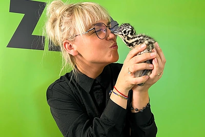 ZIP FM stručiai su vedėjais / Dangės Rulevičiūtės nuotr.