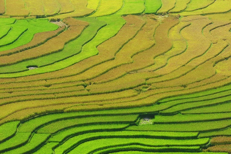 Toks žinomas ir ne visada suprantamas Vietnamas / „Travel Planet“ nuotr.