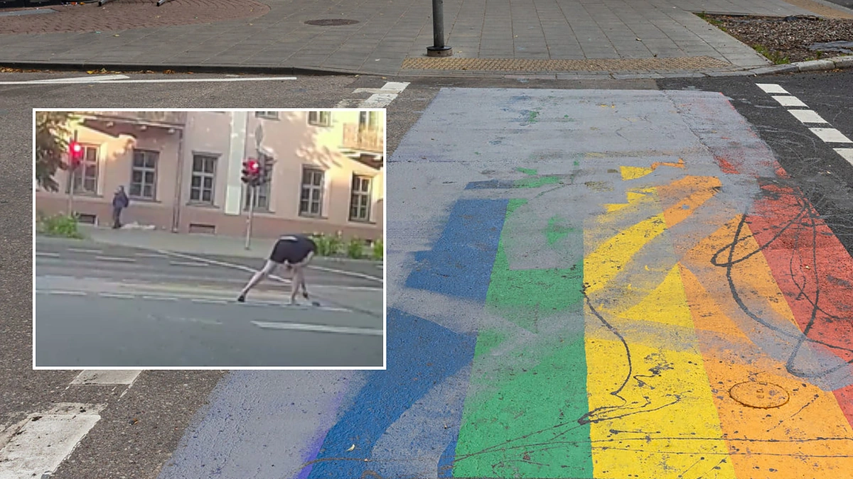 Perdažyta vaivorykštes perėja / Pauliaus Peleckio / BNS nuotr., stopkadras