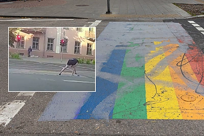 Vilniuje uždažyta vaivorykštės perėja: policija pranešė sulaikiusi įtariamąjį