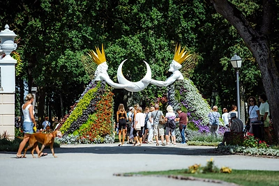 Gėlių, meno ir meilės festivalis Pakruojo dvare