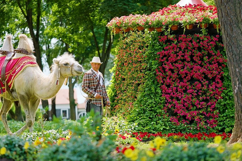 Gėlių, meno ir meilės festivalis Pakruojo dvare