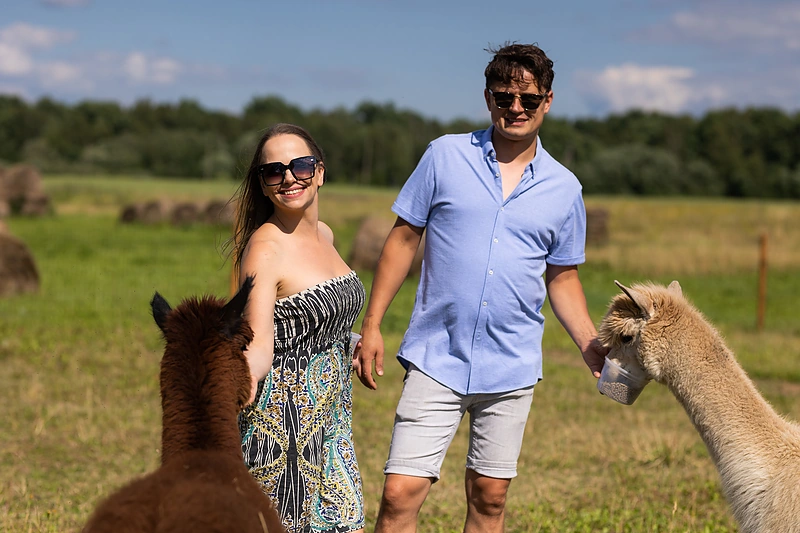Ineta ir Ąžuolas Žvaguliai augina alpakas / Gretos Skaraitienės / BNS nuotr.