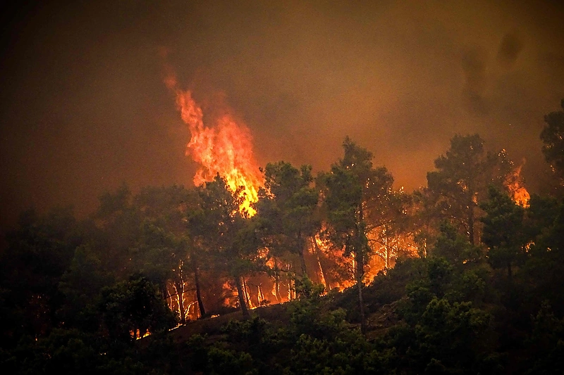 Gaisras Rodo saloje / AFP/„Scanpix“ nuotr.