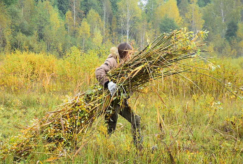 Talka pelkėje / Įmonės atstovų nuotr.