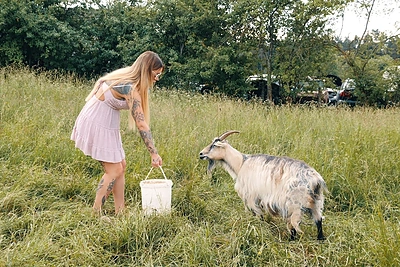 Justina Partikė šou „Pelenė Princesė“ / LNK stopkadras