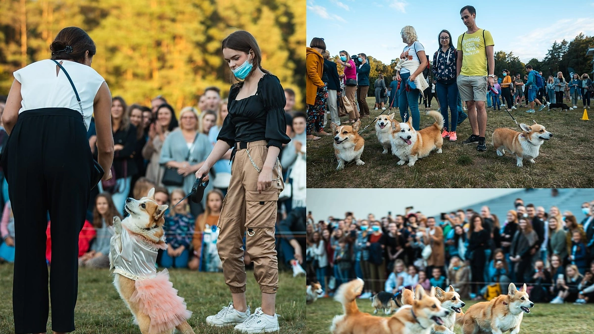 „Korgių lenktynės“ / Organizatorių nuotr.