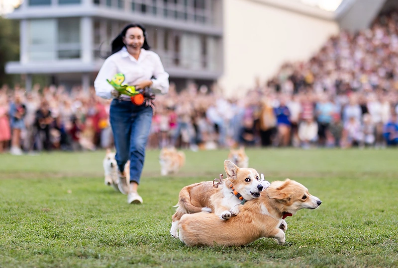 Korgių lenktynės Vilniaus Vingio parke / Skirmanto Lisausko / BNS nuotr.