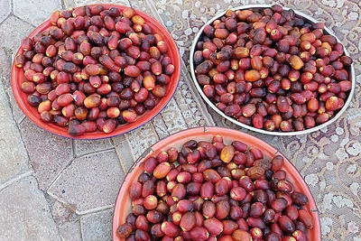 Omanas – ne toks, kokį įsivaizdavote / Ingos Orsaukaitės nuotr.