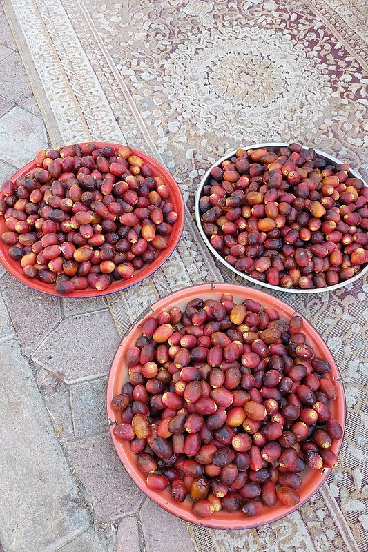 Omanas – ne toks, kokį įsivaizdavote / Ingos Orsaukaitės nuotr.