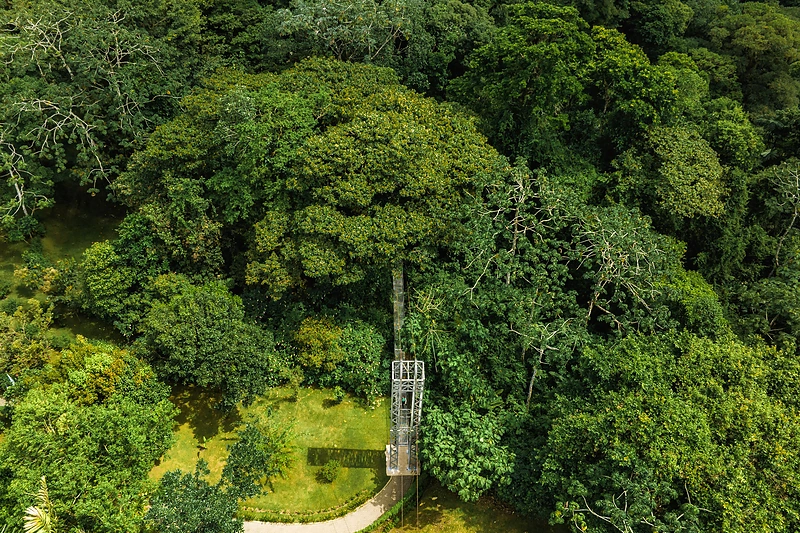 Laimingų žmonių ir laimingų atostogų šalis Kosta Rika / „Travel Planet“ nuotr.