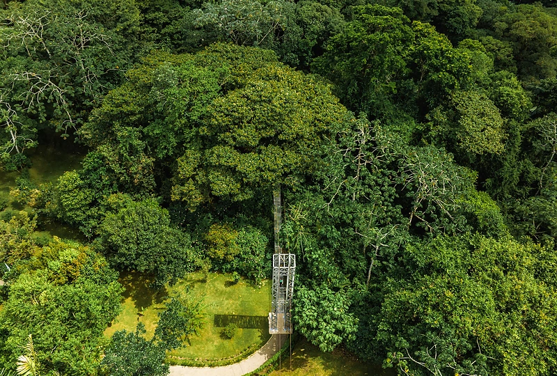 Laimingų žmonių ir laimingų atostogų šalis Kosta Rika / „Travel Planet“ nuotr.