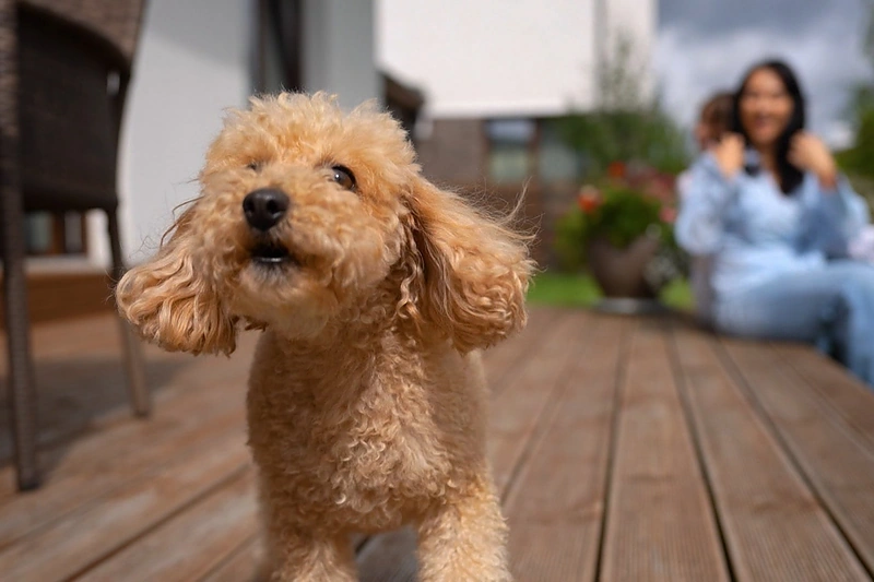 Eglė Visockaitė su augintine Uoga / LNK nuotr.