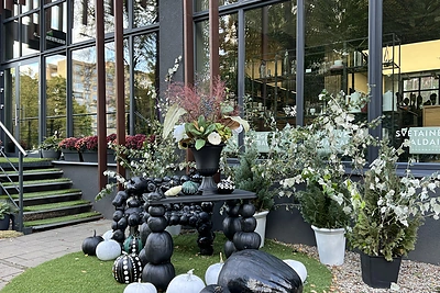 Jurgitos Malakauskaitės dekoras / Organizatorių nuotr.