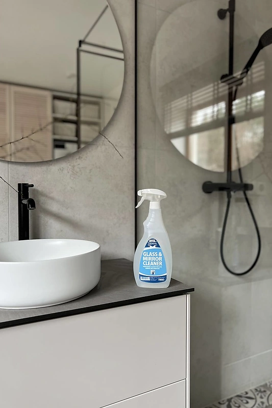 Langų ir veidrodžių valiklis / „Pro7“ nuotr.