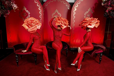 Šventės akimirka / Dariaus Kučio nuotrauka