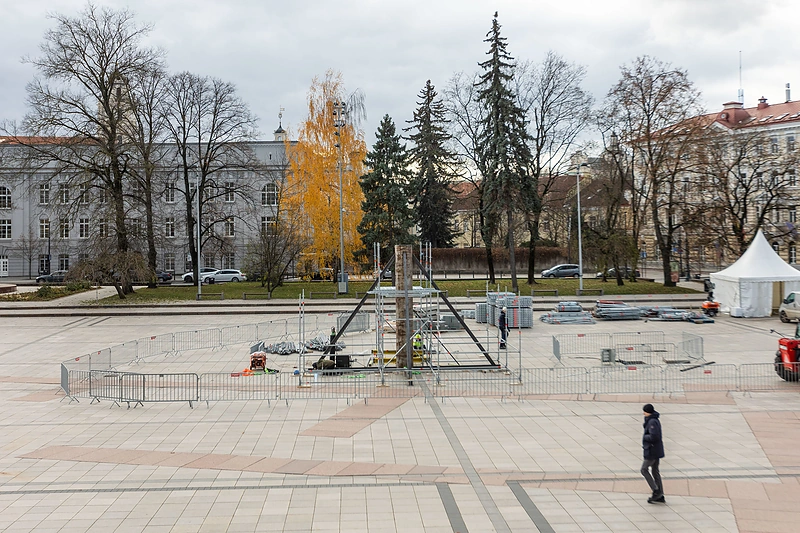 Vilniaus Kalėdų eglės statymo darbai / Skirmanto Lisausko / BNS nuotr.