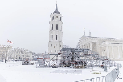 Aiškėja, kokia šiemet bus Vilniaus kalėdinė eglė