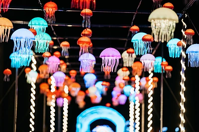 Pakruojo šviesų festivalio atidarymas / Manto Repečkos nuotr.