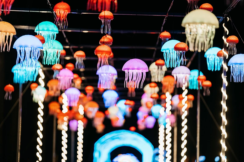 Pakruojo šviesų festivalio atidarymas / Manto Repečkos nuotr.