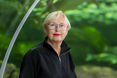 Lietuvos jūrų muziejaus direktorė Olga Žalienė: „Prie to grožio neįmanoma priprasti“