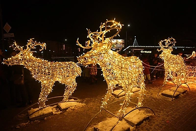 Mažeikių kalėdinės eglės įžiebimas / Mažeikių rajono savivaldybės ir Kazio Vozgirdo nuotr.