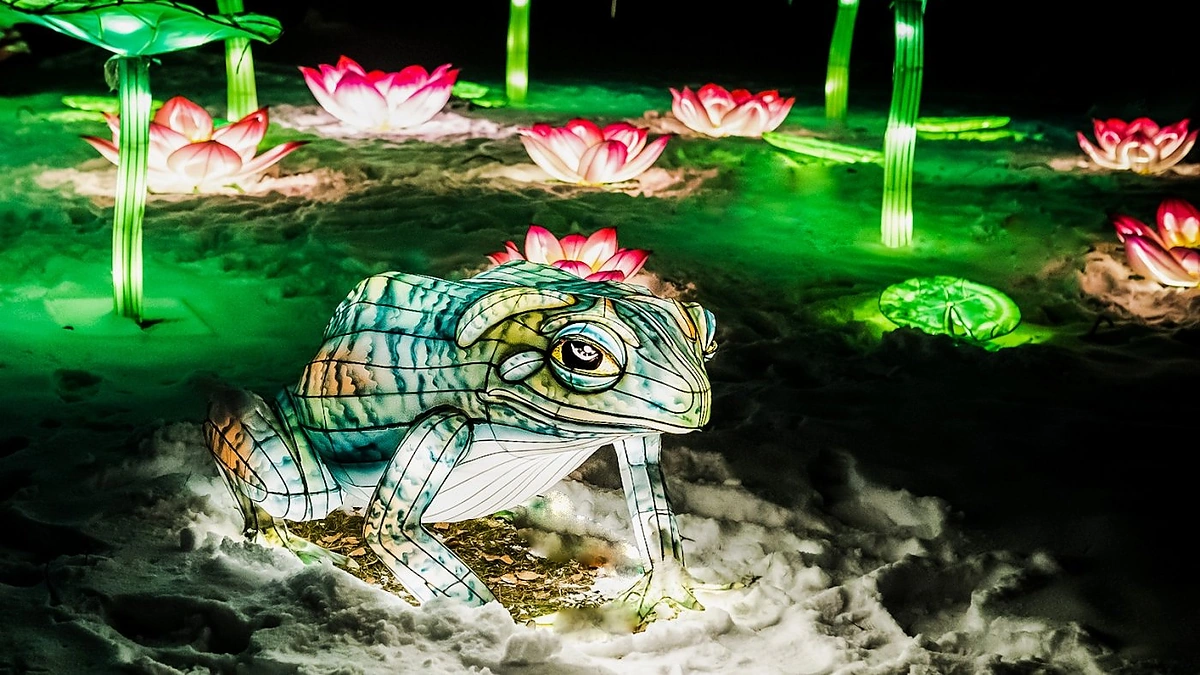 „Džiunglių knyga“ Vingio parke / Martyno Vitėno nuotr.