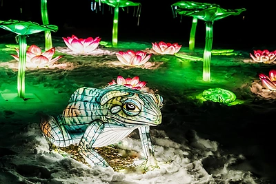 „Džiunglių knyga“ Vingio parke / Martyno Vitėno nuotr.