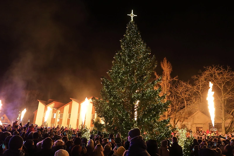 Eglės įžiebimo šventė Birštone / Vaidoto Grigo nuotr.
