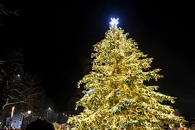 Kretingoje įžiebta Kalėdų eglė