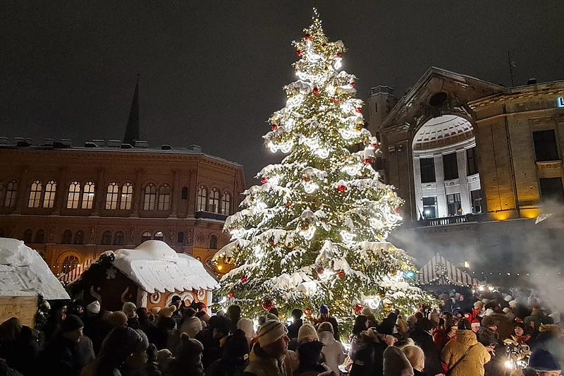 Domus eglutė po įžiebimo