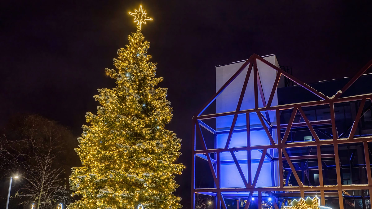 Šilutės Kalėdų eglė / Andriaus Čečkausko nuotr.