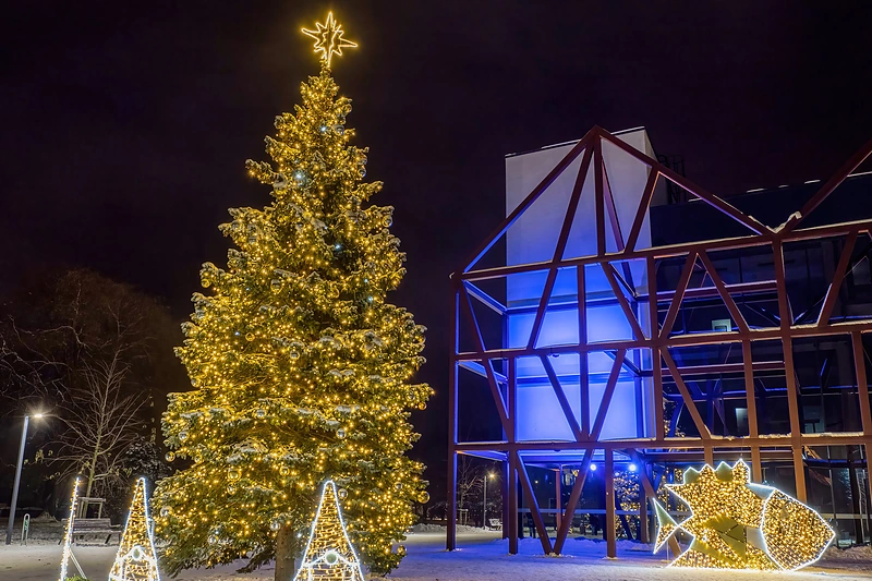 Šilutėje pirmą kartą įžiebta prieš 37-erius metus pasodinta eglutė