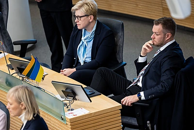 I.Šimonytė teigia, kad domintis politikų turtu svarbiausias klausimas yra lėšų kilmė