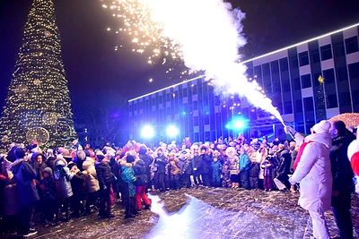 Šalčininkų Kalėdų eglė / Šalčininkų savivaldybės nuotr.